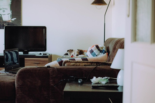 vyklízení nemovitosti