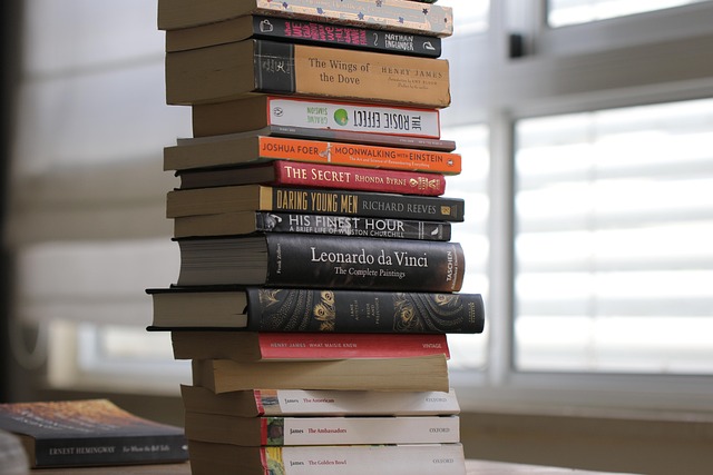 profesionální vyklízení